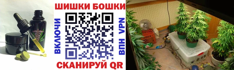 как найти наркотики  Макаров  Canna-Cookies конопля 