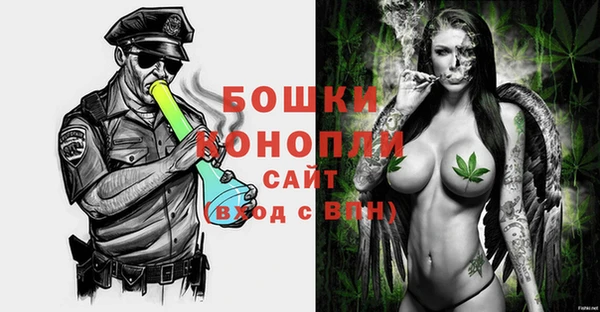 прущие грибы Арсеньев