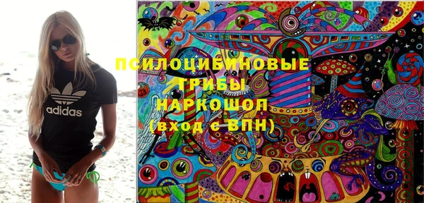 прущие грибы Арсеньев