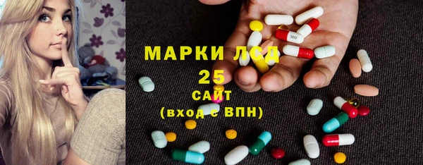 прущие грибы Аркадак