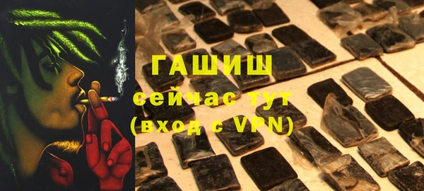 прущие грибы Аркадак